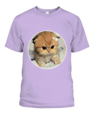 Mockup