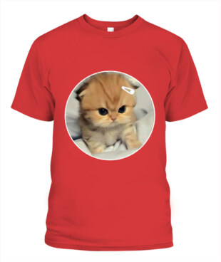 Mockup
