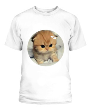 Mockup
