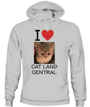 Mockup