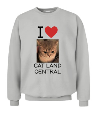 Mockup