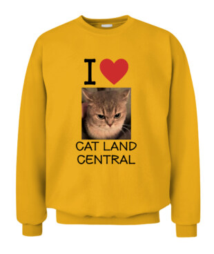 Mockup
