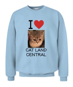 Mockup