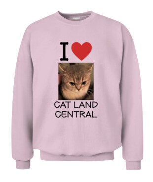 Mockup
