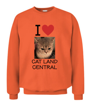 Mockup