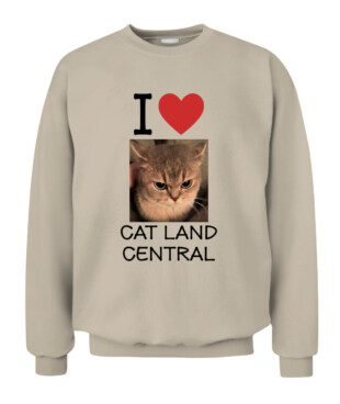 Mockup