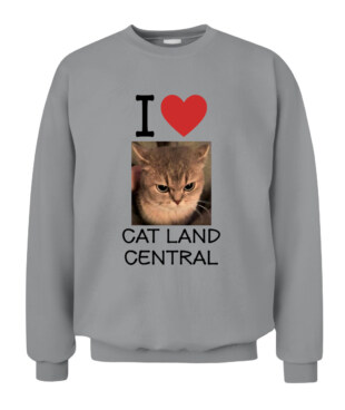 Mockup