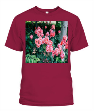 Mockup