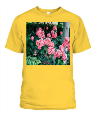 Mockup