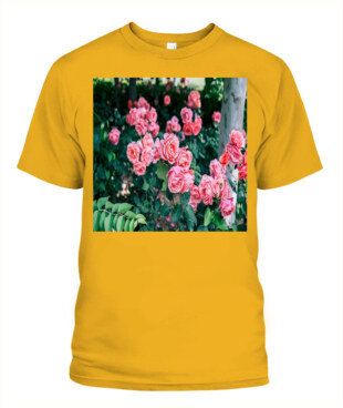Mockup