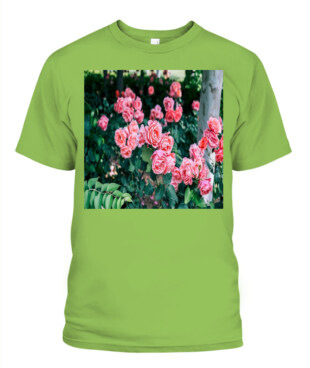Mockup