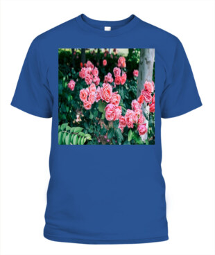 Mockup