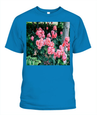 Mockup