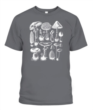 Mockup