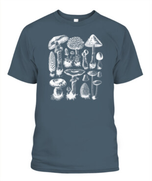 Mockup