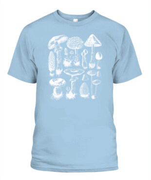 Mockup