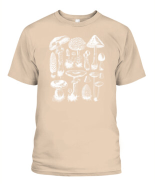 Mockup
