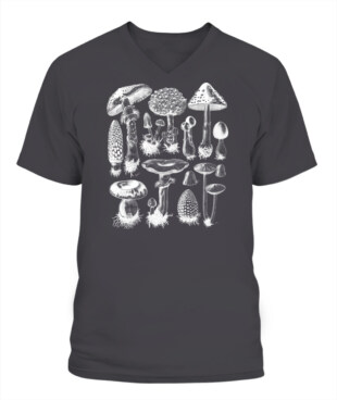 Mockup
