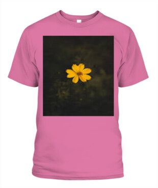 Mockup
