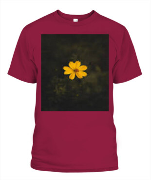 Mockup