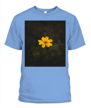 Mockup
