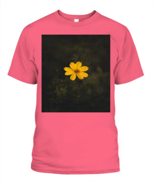 Mockup