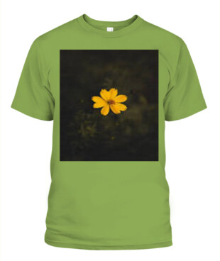 Mockup
