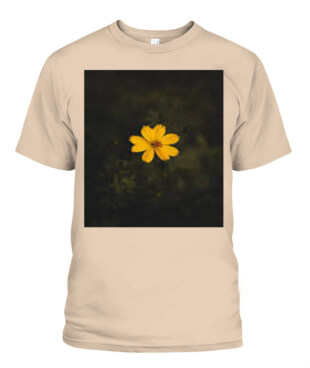 Mockup