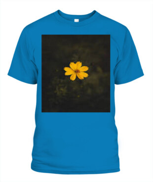 Mockup