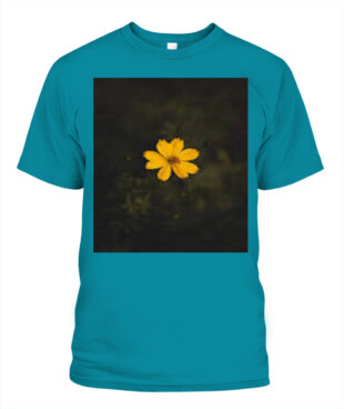 Mockup