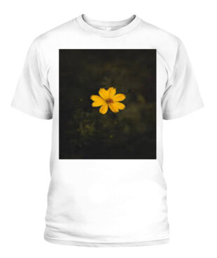 Mockup
