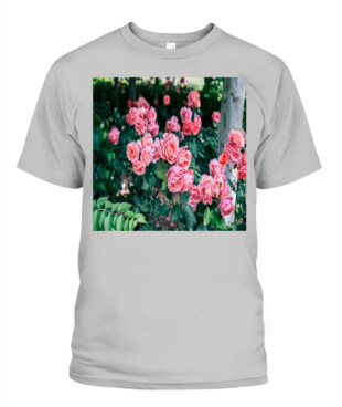 Mockup