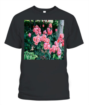 Mockup