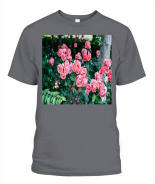 Mockup
