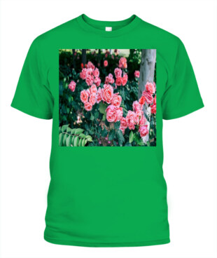 Mockup