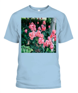 Mockup