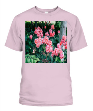 Mockup
