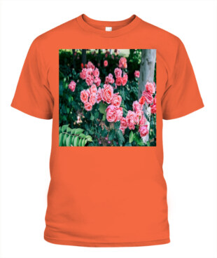 Mockup