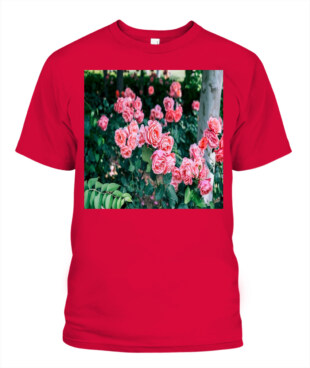 Mockup
