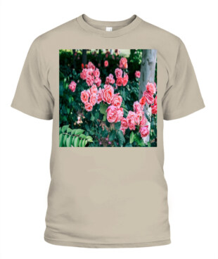 Mockup