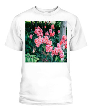 Mockup