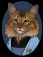 Mockup Preview
