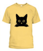 Mockup Preview